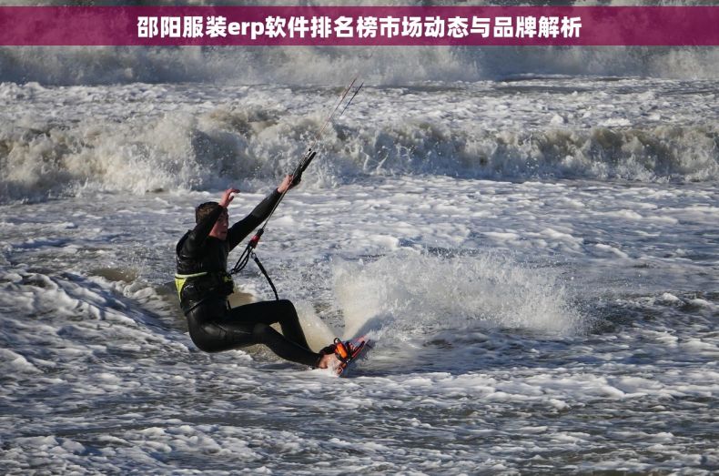 邵阳服装erp软件排名榜市场动态与品牌解析