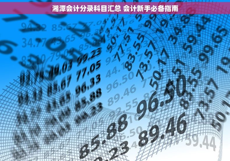 湘潭会计分录科目汇总 会计新手必备指南