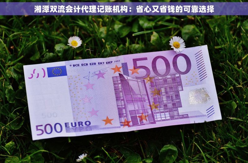 湘潭双流会计代理记账机构：省心又省钱的可靠选择