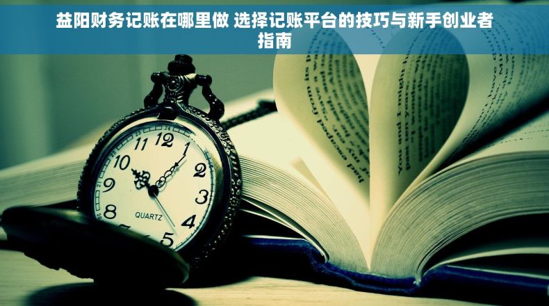 益阳财务记账在哪里做 选择记账平台的技巧与新手创业者指南