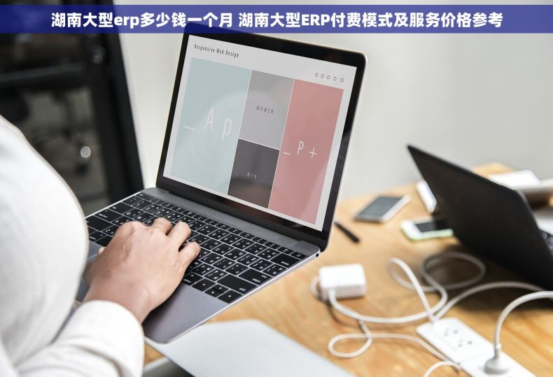 湖南大型erp多少钱一个月 湖南大型ERP付费模式及服务价格参考