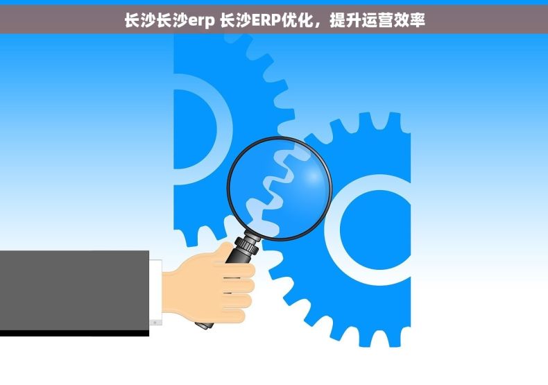 长沙长沙erp 长沙ERP优化，提升运营效率