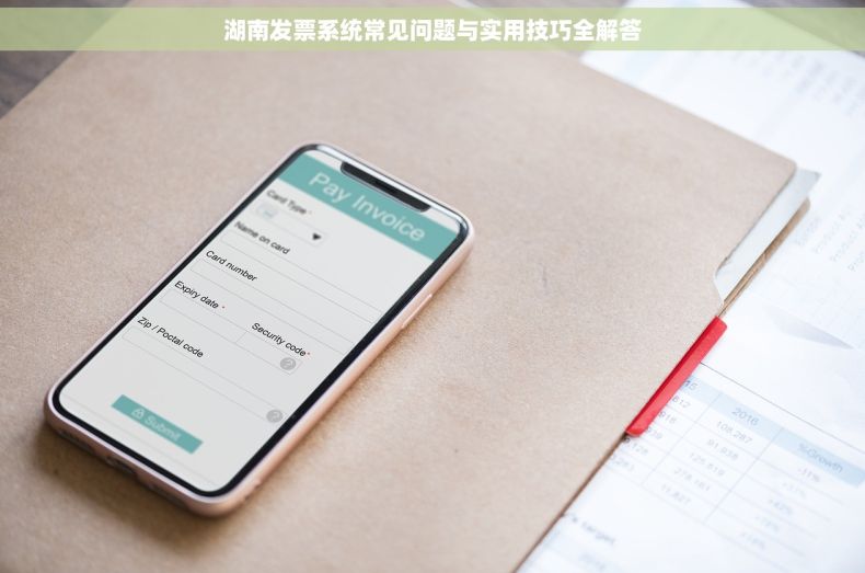 湖南发票系统常见问题与实用技巧全解答