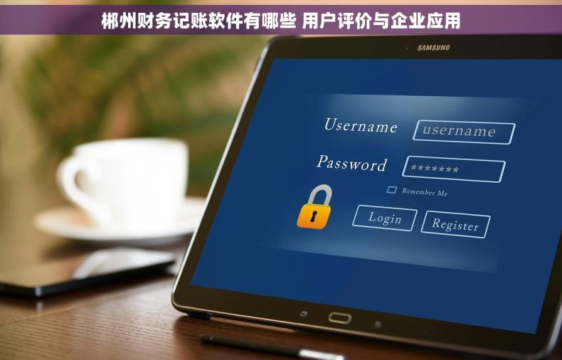 郴州财务记账软件有哪些 用户评价与企业应用