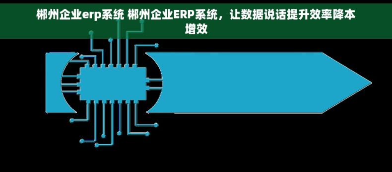 郴州企业erp系统 郴州企业ERP系统，让数据说话提升效率降本增效