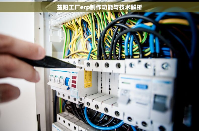 益阳工厂erp制作功能与技术解析