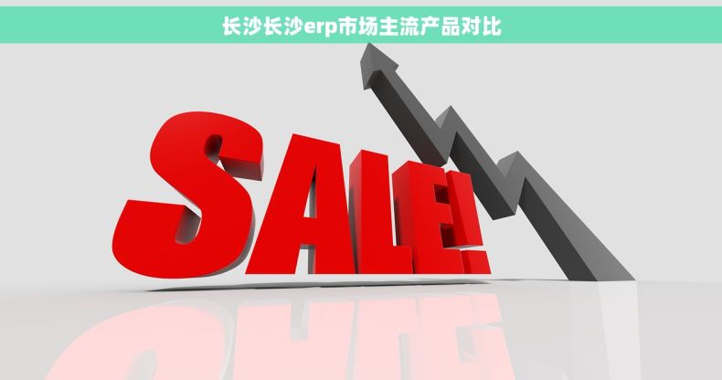 长沙长沙erp市场主流产品对比