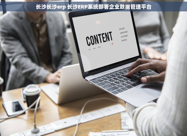 长沙长沙erp 长沙ERP系统部署企业数据管理平台