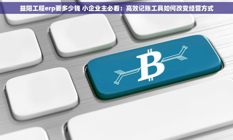 益阳工程erp要多少钱 小企业主必看：高效记账工具如何改变经营方式