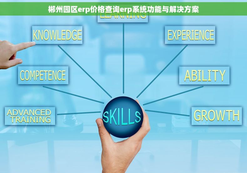 郴州园区erp价格查询erp系统功能与解决方案