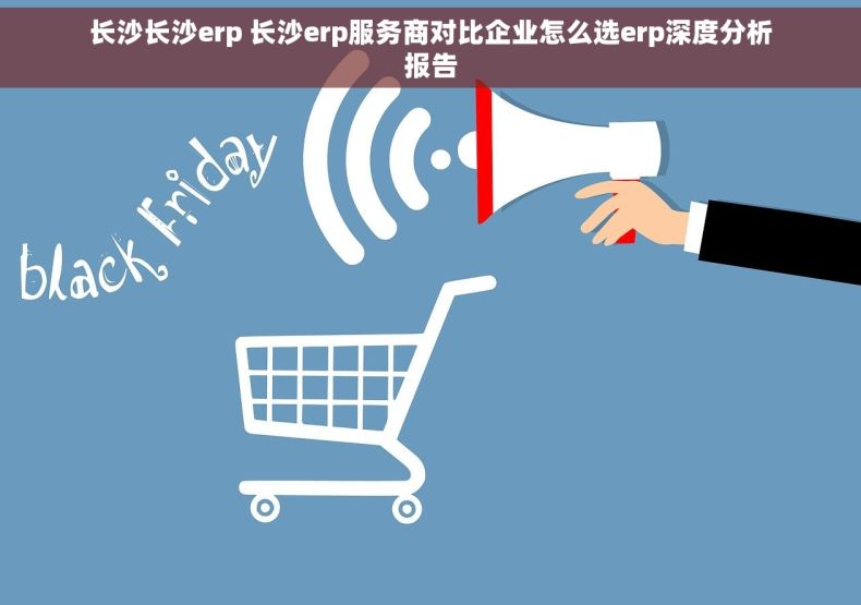 长沙长沙erp 长沙erp服务商对比企业怎么选erp深度分析报告