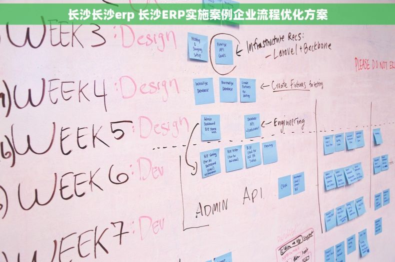 长沙长沙erp 长沙ERP实施案例企业流程优化方案