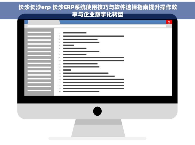 长沙长沙erp 长沙ERP系统使用技巧与软件选择指南提升操作效率与企业数字化转型