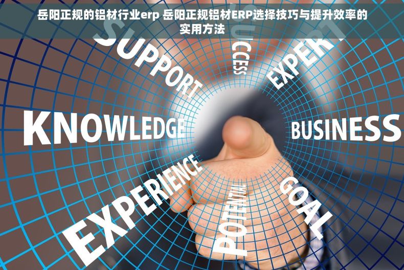 岳阳正规的铝材行业erp 岳阳正规铝材ERP选择技巧与提升效率的实用方法