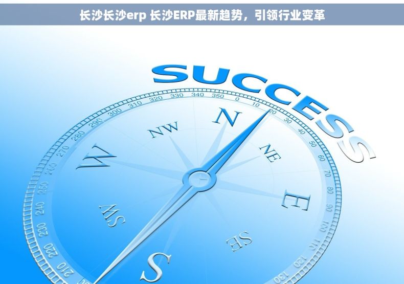 长沙长沙erp 长沙ERP最新趋势，引领行业变革