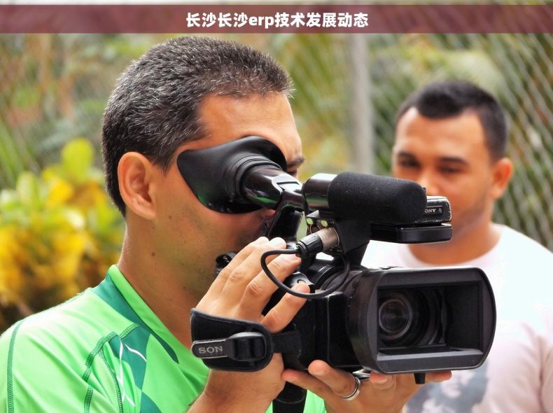 长沙长沙erp技术发展动态