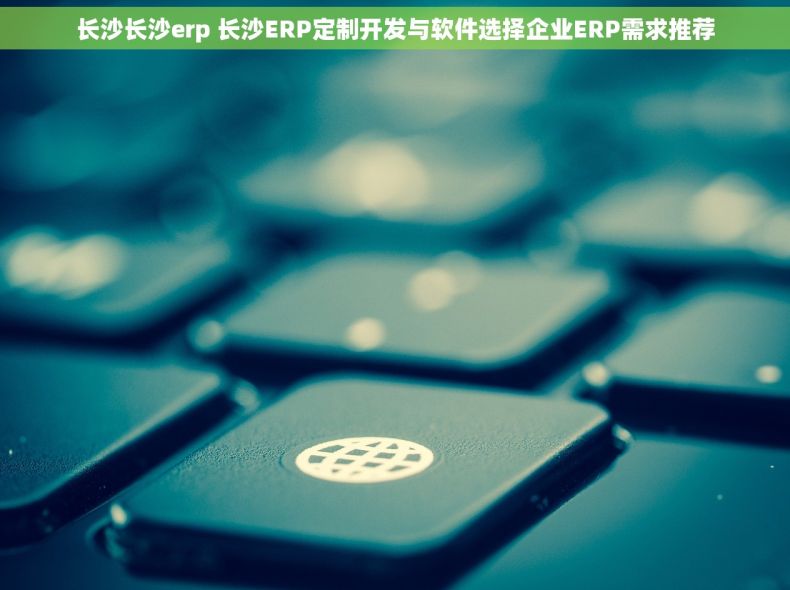 长沙长沙erp 长沙ERP定制开发与软件选择企业ERP需求推荐