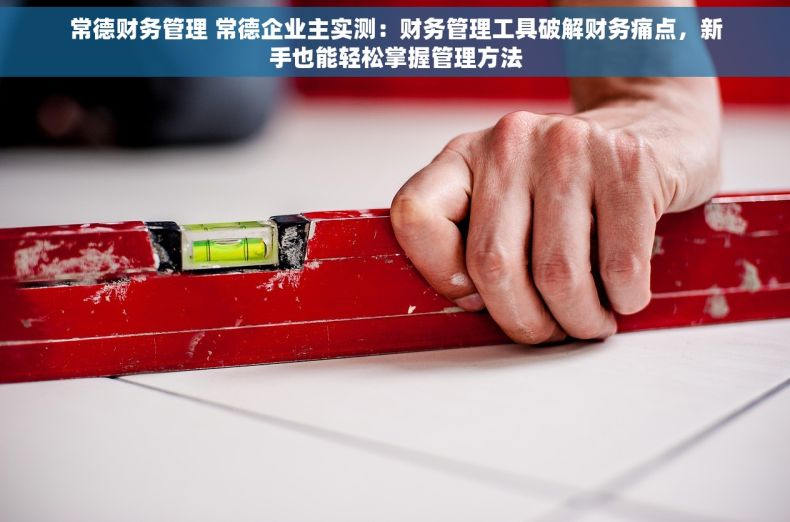 常德财务管理 常德企业主实测：财务管理工具破解财务痛点，新手也能轻松掌握管理方法