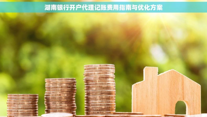 湖南银行开户代理记账费用指南与优化方案