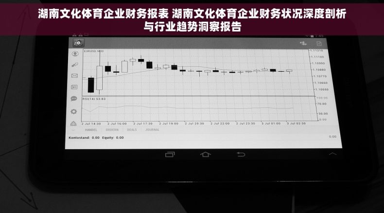 湖南文化体育企业财务报表 湖南文化体育企业财务状况深度剖析与行业趋势洞察报告