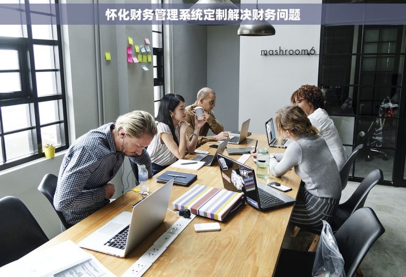 怀化财务管理系统定制解决财务问题