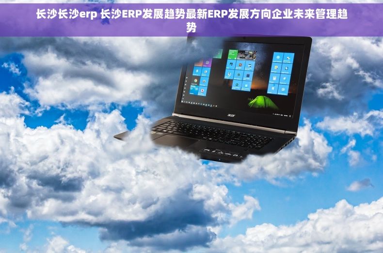 长沙长沙erp 长沙ERP发展趋势最新ERP发展方向企业未来管理趋势