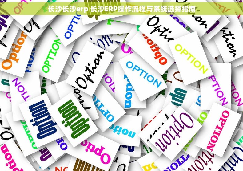 长沙长沙erp 长沙ERP操作流程与系统选择指南