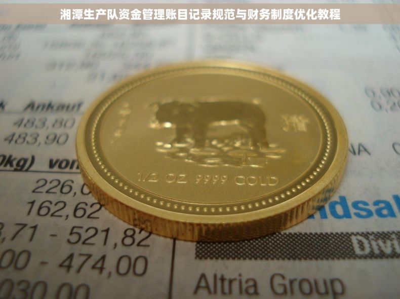 湘潭生产队资金管理账目记录规范与财务制度优化教程