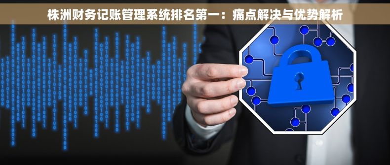 株洲财务记账管理系统排名第一：痛点解决与优势解析