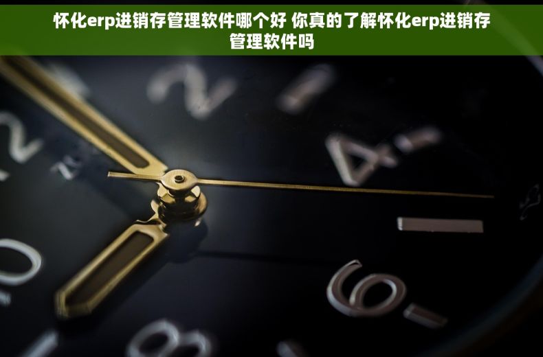 怀化erp进销存管理软件哪个好 你真的了解怀化erp进销存管理软件吗