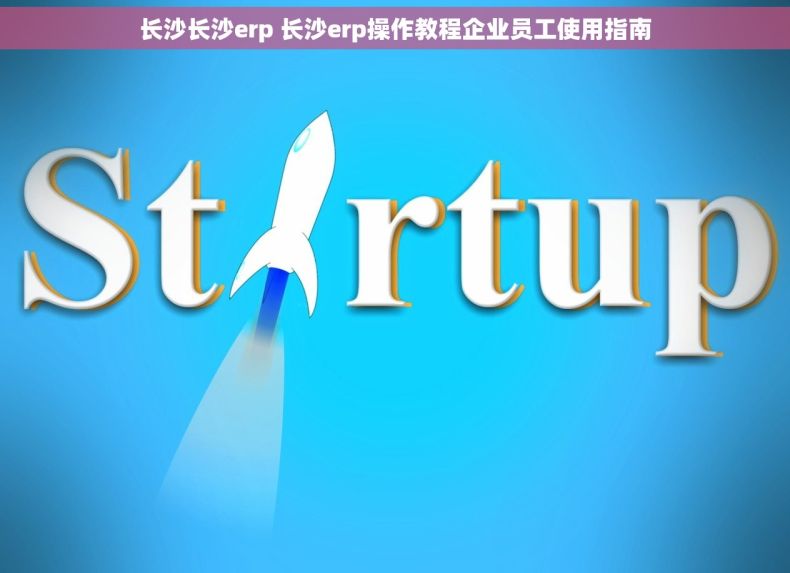 长沙长沙erp 长沙erp操作教程企业员工使用指南