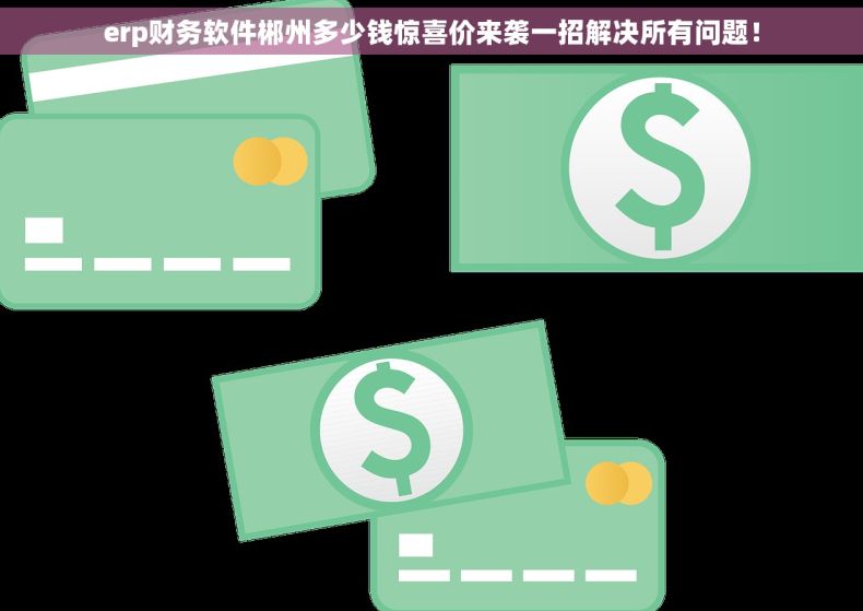 erp财务软件郴州多少钱惊喜价来袭一招解决所有问题！