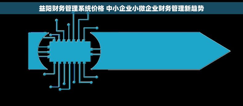 益阳财务管理系统价格 中小企业小微企业财务管理新趋势