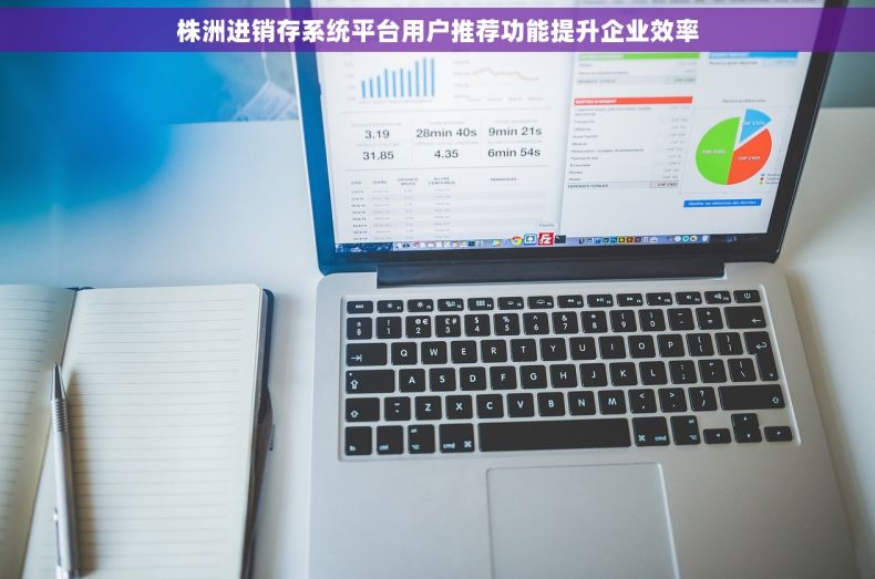 株洲进销存系统平台用户推荐功能提升企业效率