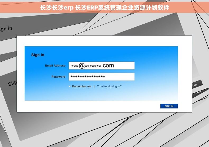 长沙长沙erp 长沙ERP系统管理企业资源计划软件