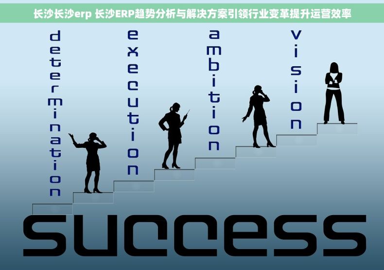 长沙长沙erp 长沙ERP趋势分析与解决方案引领行业变革提升运营效率