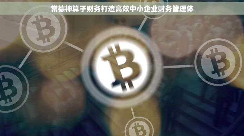 常德神算子财务打造高效中小企业财务管理体