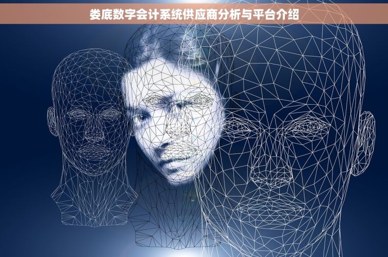 娄底数字会计系统供应商分析与平台介绍