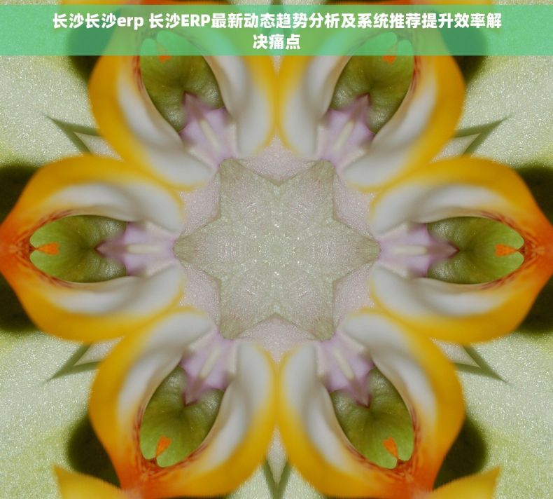 长沙长沙erp 长沙ERP最新动态趋势分析及系统推荐提升效率解决痛点