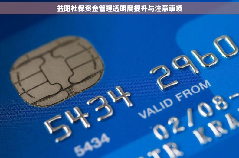 益阳社保资金管理透明度提升与注意事项