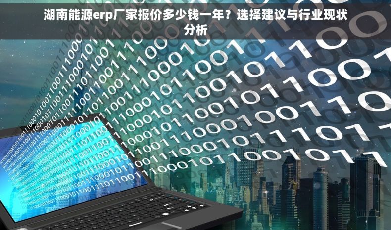 湖南能源erp厂家报价多少钱一年？选择建议与行业现状分析