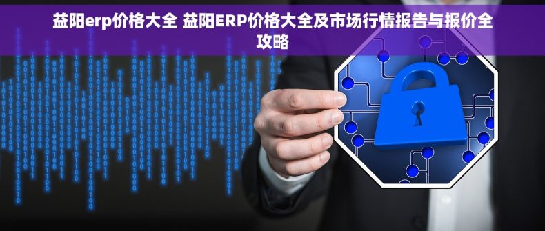益阳erp价格大全 益阳ERP价格大全及市场行情报告与报价全攻略