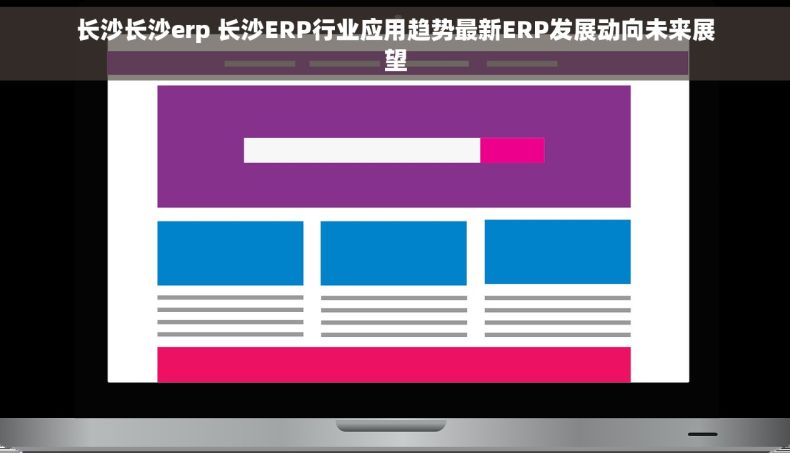 长沙长沙erp 长沙ERP行业应用趋势最新ERP发展动向未来展望