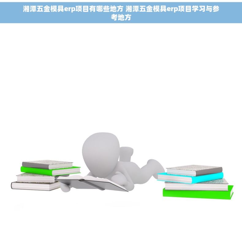 湘潭五金模具erp项目有哪些地方 湘潭五金模具erp项目学习与参考地方