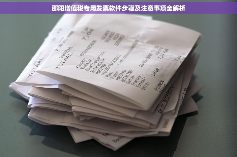 邵阳增值税专用发票软件步骤及注意事项全解析