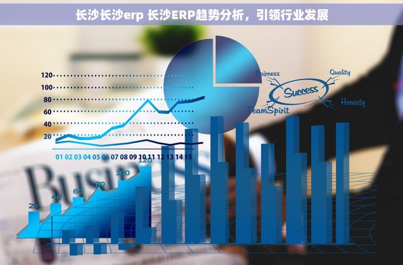 长沙长沙erp 长沙ERP趋势分析，引领行业发展
