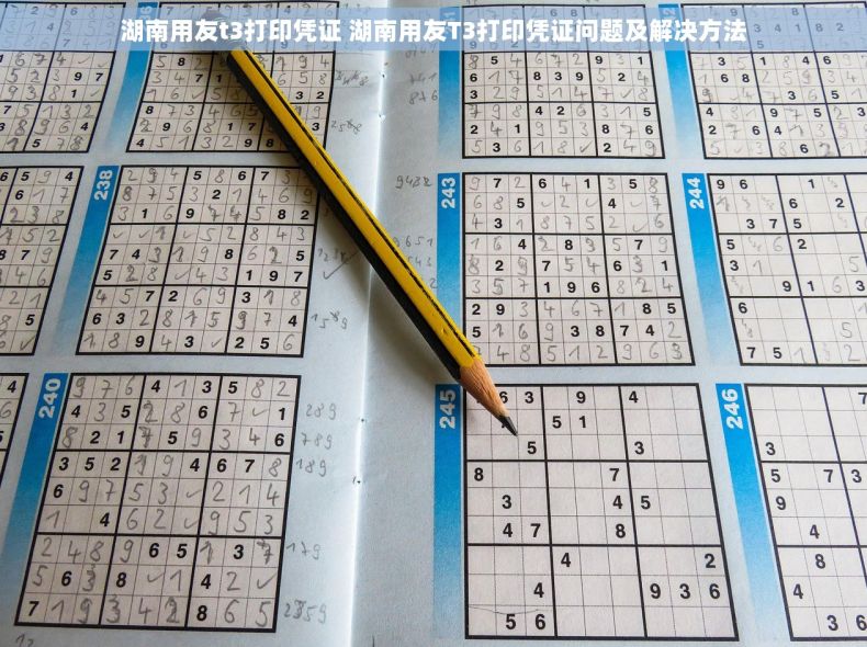湖南用友t3打印凭证 湖南用友T3打印凭证问题及解决方法