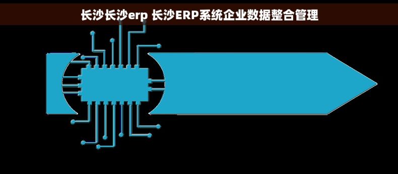 长沙长沙erp 长沙ERP系统企业数据整合管理