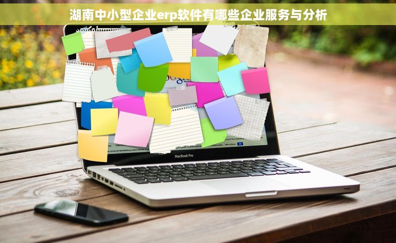 湖南中小型企业erp软件有哪些企业服务与分析