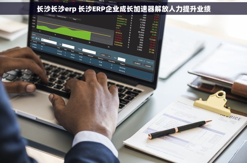 长沙长沙erp 长沙ERP企业成长加速器解放人力提升业绩